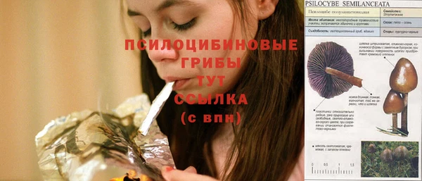бутират Осинники