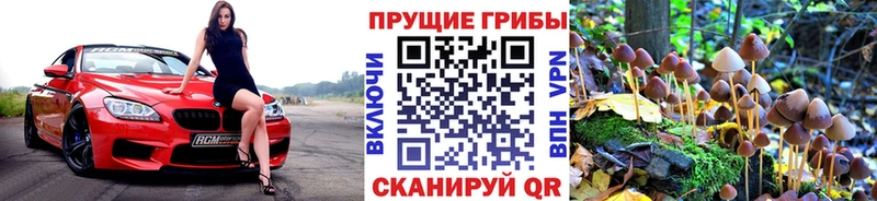 Галлюциногенные грибы прущие грибы  Осташков 